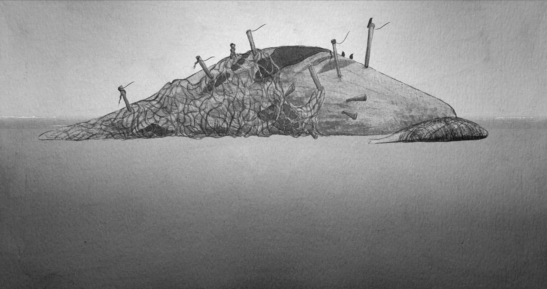 Two-films-for-whales-2