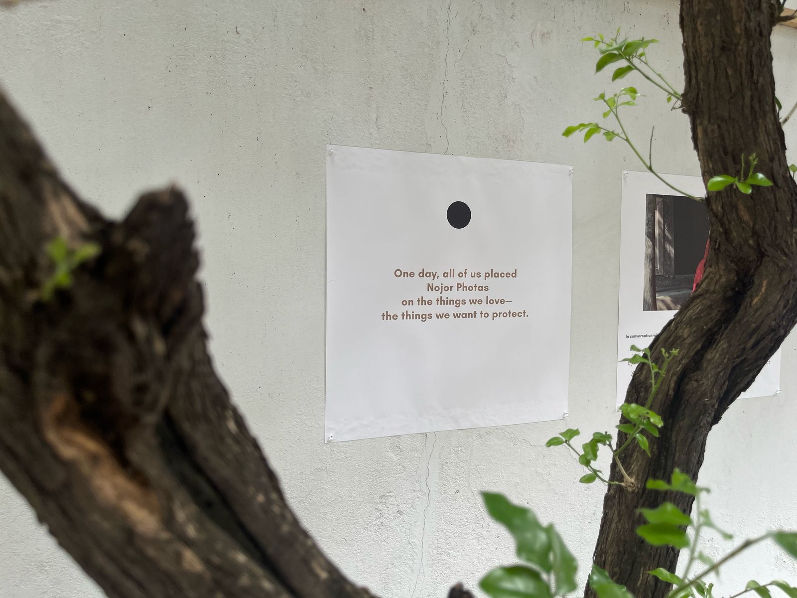 PHOTO-2025-04-19-21-08-31